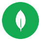 MongoDB